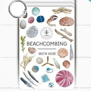 Beachcombing Flashcards Set